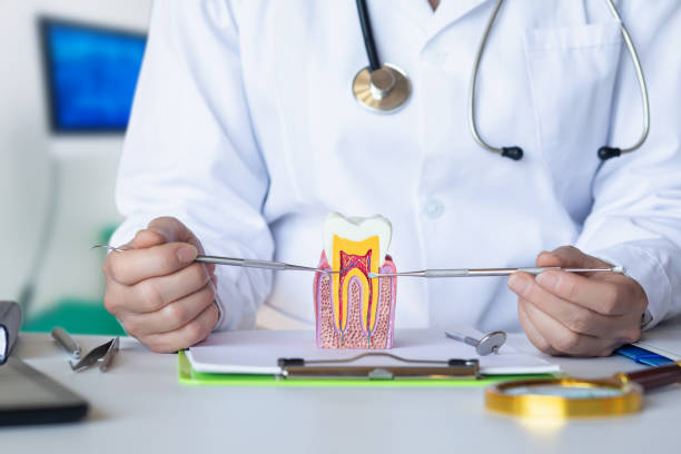 Best Emergency Root Canal Treatment in Fennville, MI